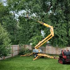 Trusted Winooski, VT Tree Removal and Landscaping Services Experts